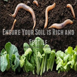 Ensure Your Soil is Rich and Fertile