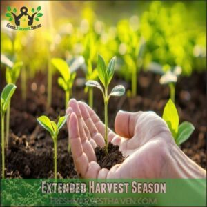 Extended Harvest Season