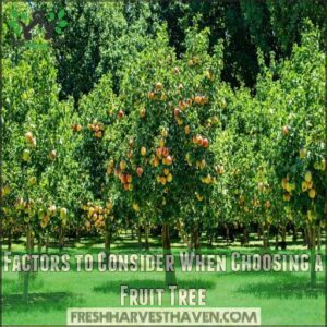 Factors to Consider When Choosing a Fruit Tree