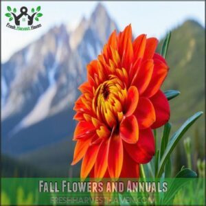 Fall Flowers and Annuals