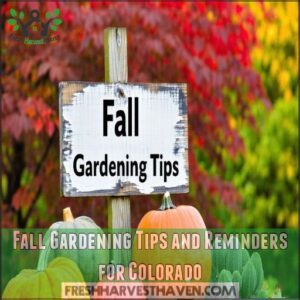 Fall Gardening Tips and Reminders for Colorado