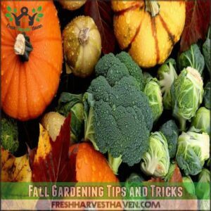 Fall Gardening Tips and Tricks