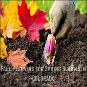 Fall Planting for Spring Blooms in Colorado