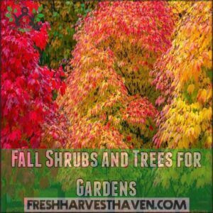 Fall Shrubs and Trees for Gardens