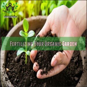 Fertilizing Your Organic Garden