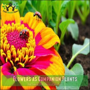 Flowers as Companion Plants