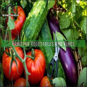 Fruiting Vegetables and Vines