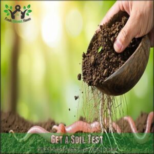 Get a Soil Test