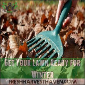 Get Your Lawn Ready for Winter