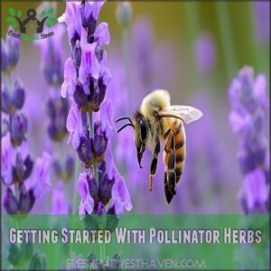 Getting Started With Pollinator Herbs