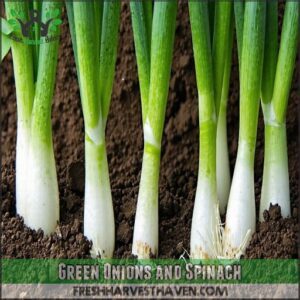 Green Onions and Spinach