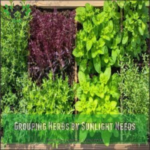 Grouping Herbs by Sunlight Needs