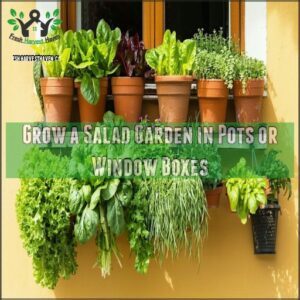 Grow a Salad Garden in Pots or Window Boxes