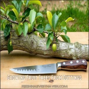 growing fruit trees from cuttings