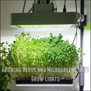 Growing Herbs and Microgreens With Grow Lights