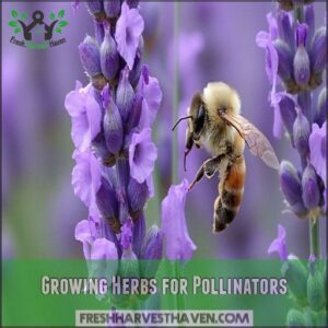 Growing Herbs for Pollinators