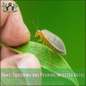 Hand-Squishing and Pruning Infected Areas