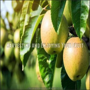 Harvesting and Enjoying Your Fruit