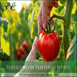 Harvesting for Vegetarian Recipes