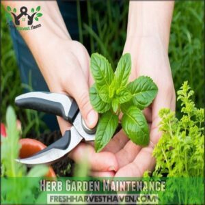 Herb Garden Maintenance