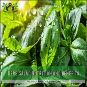 Herb Salad Nutrition and Benefits