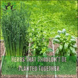 Herbs That Shouldn