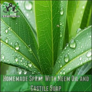 Homemade Spray With Neem Oil and Castile Soap