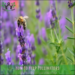 How to Help Pollinators