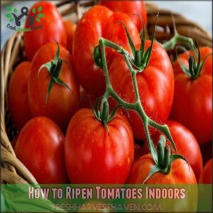 How to Ripen Tomatoes Indoors