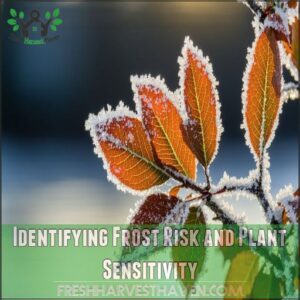 Identifying Frost Risk and Plant Sensitivity