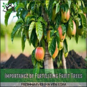 Importance of Fertilizing Fruit Trees