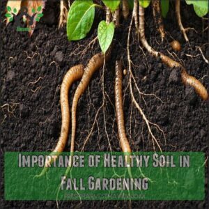 Importance of Healthy Soil in Fall Gardening