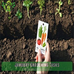 January Gardening Tasks