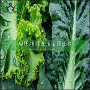 Kale and Collard Greens