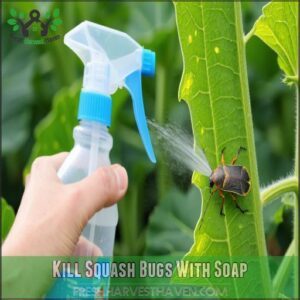 Kill Squash Bugs With Soap