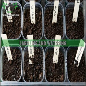 Labeling and Watering