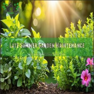 Late Summer Garden Maintenance