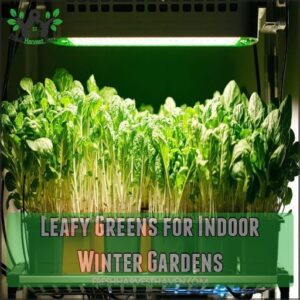 Leafy Greens for Indoor Winter Gardens