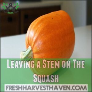 Leaving a Stem on The Squash