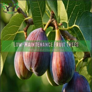 Low-Maintenance Fruit Trees