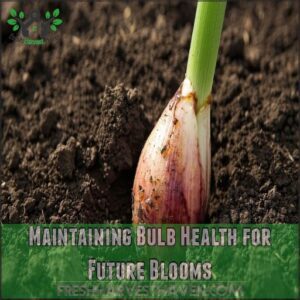 Maintaining Bulb Health for Future Blooms