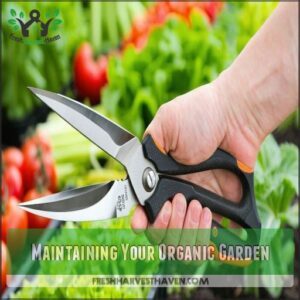 Maintaining Your Organic Garden