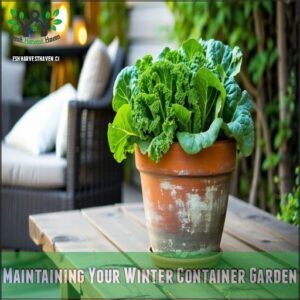 Maintaining Your Winter Container Garden