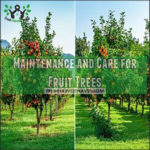 Maintenance and Care for Fruit Trees