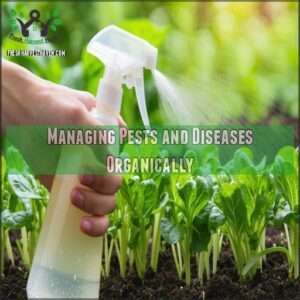 Managing Pests and Diseases Organically