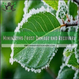 Minimizing Frost Damage and Recovery