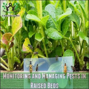 Monitoring and Managing Pests in Raised Beds