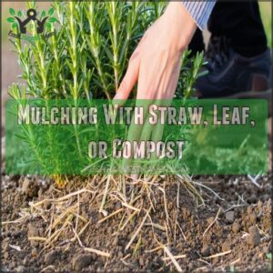 Mulching With Straw, Leaf, or Compost