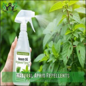 Natural Aphid Repellents