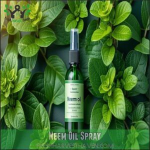 Neem Oil Spray